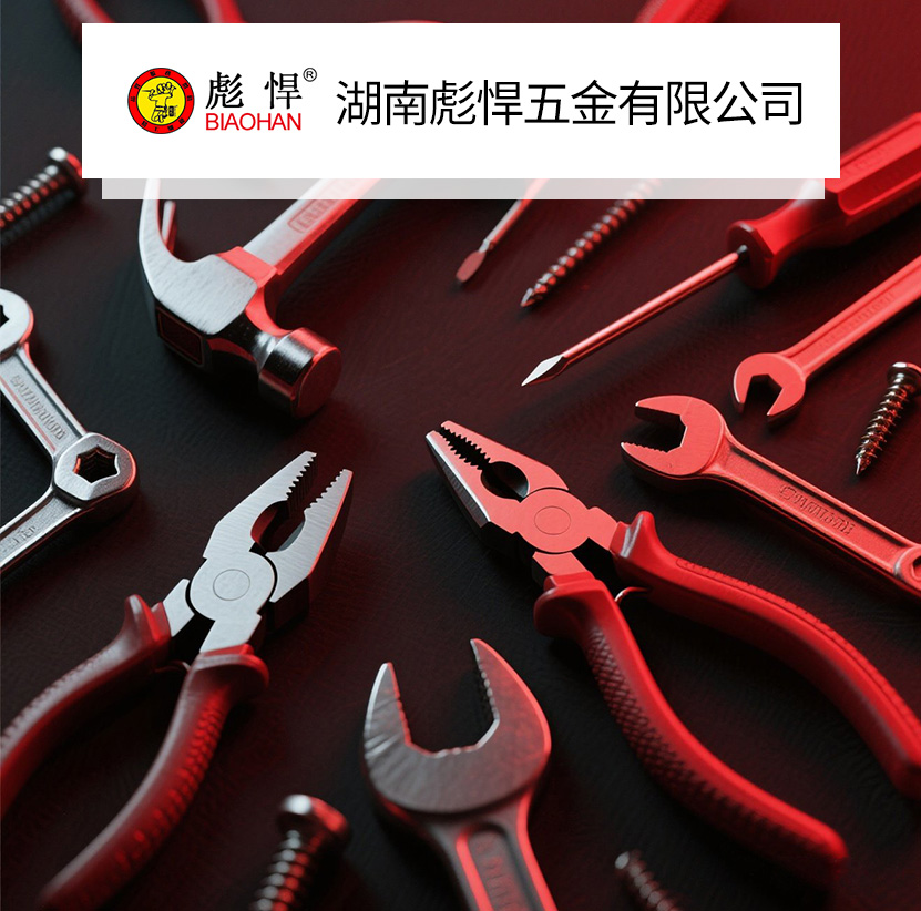 PASSED ISO 9001:2008 STANDARD